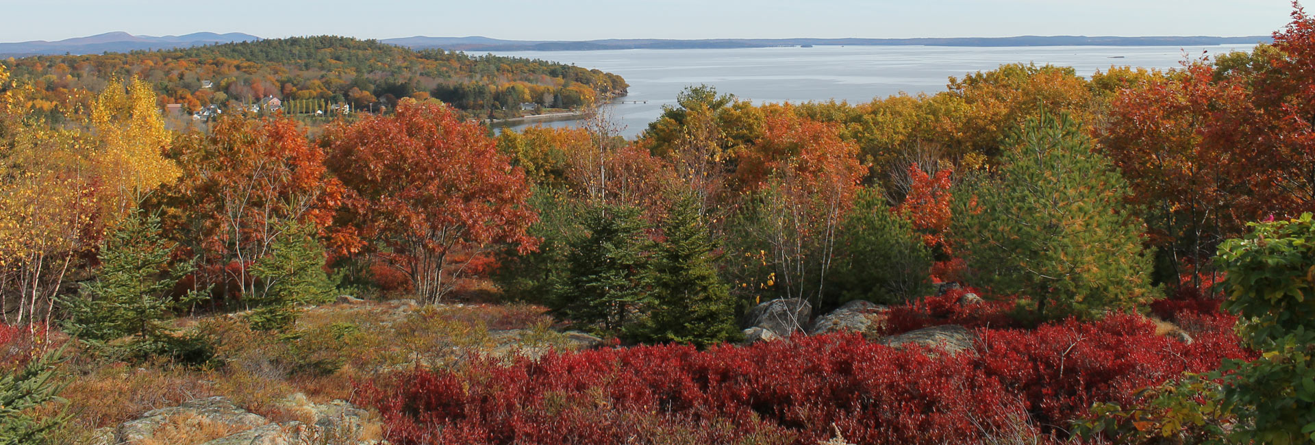 Birch Bay Village Fall View