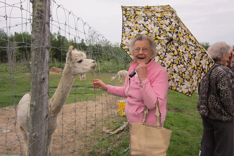 Residential Care Day Trip