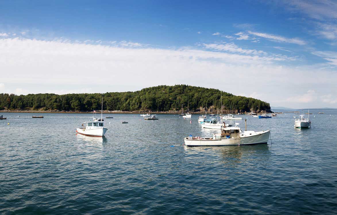 Life-Lobster-Boats-cropped Life in Bar Harbor